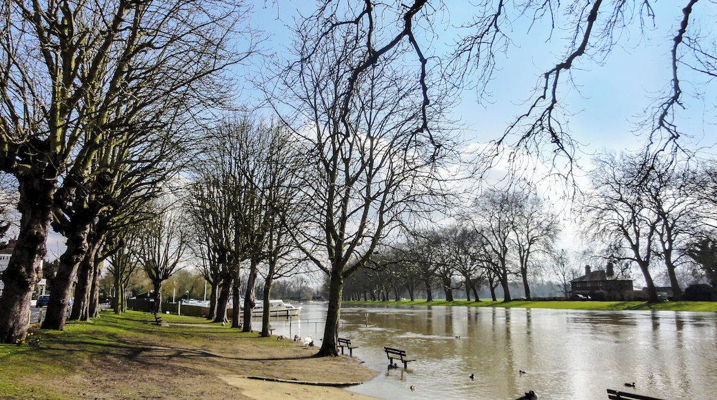 The Thames at Datchet near Windsor