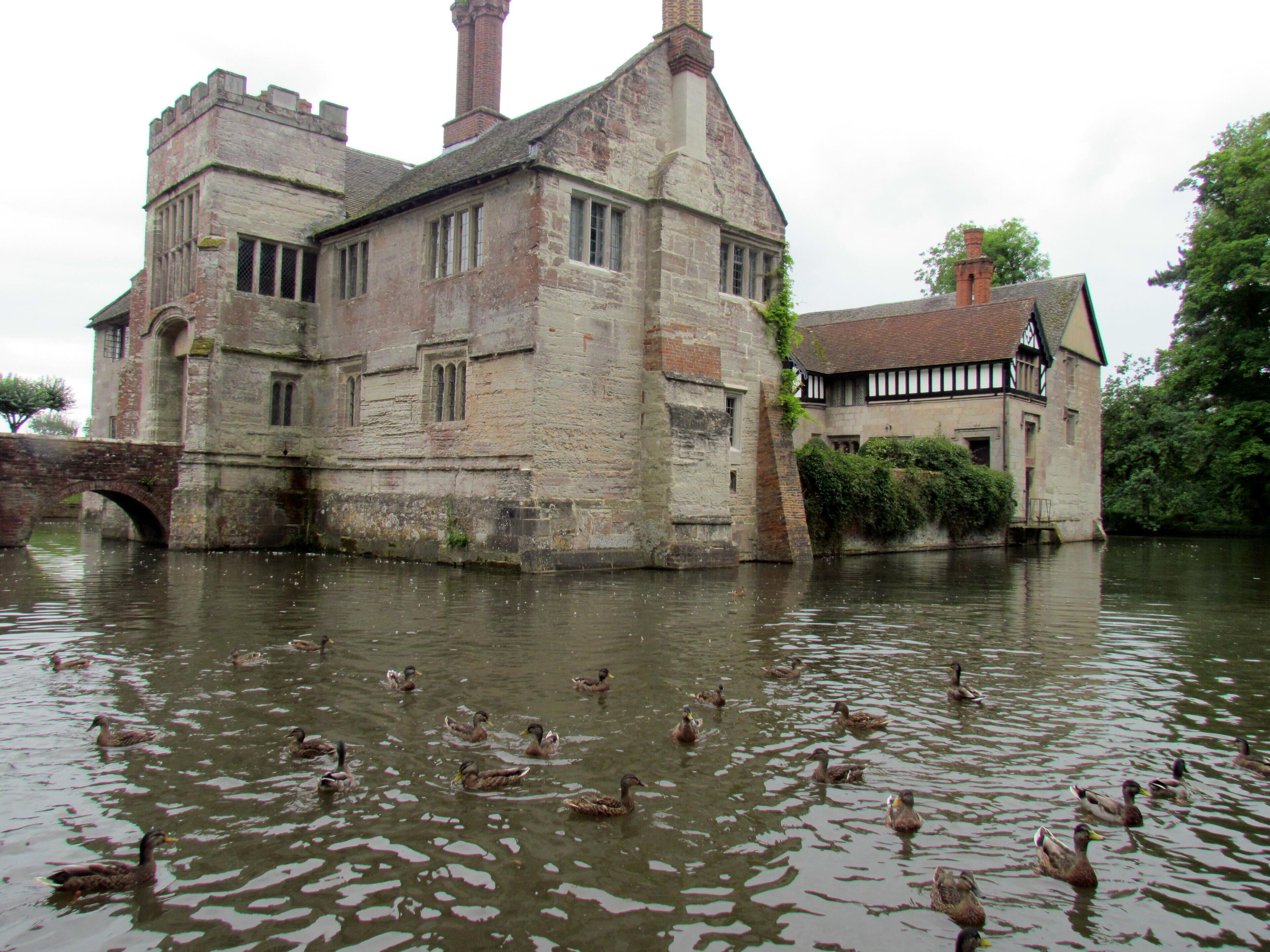 A historic building by a river with ducks swimming in the water.