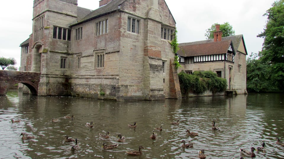 A historic building by a river with ducks swimming in the water.