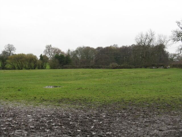Field Near Bickenhill