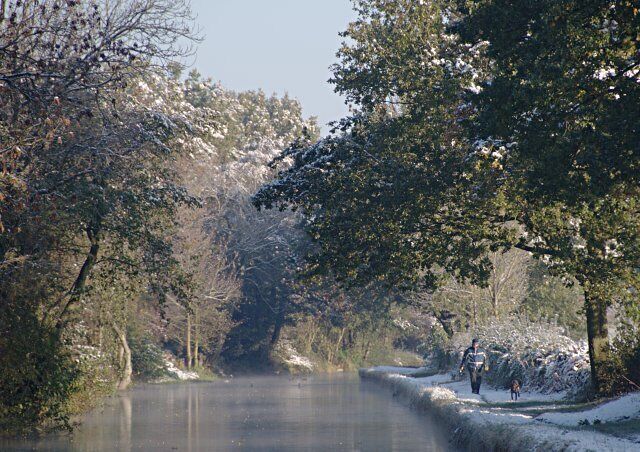 A snow-covered river with trees on both sides, a person walking, and a dog.
