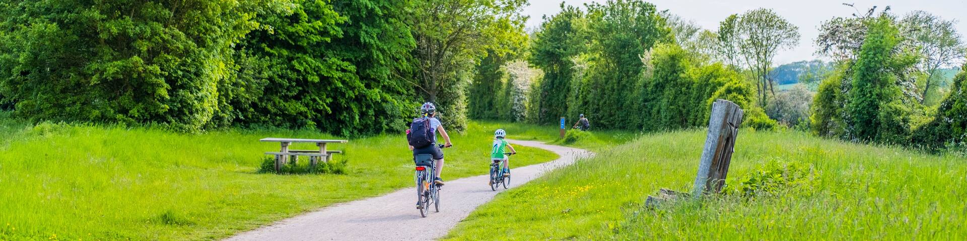 A gravel path with cyclists, surrounded by lush greenery and a picnic table.
