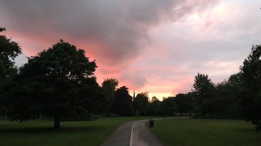 Sunset in the park, lovely place for an evening walk