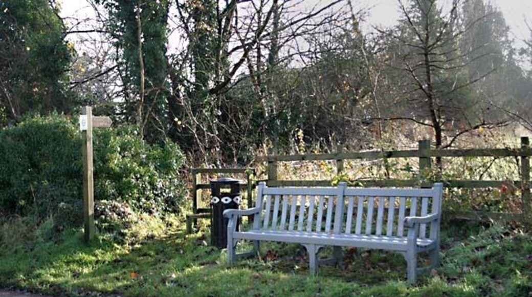 Stile opposite St Peter's Church The footpath beyond the stile leads from Church Lane to St Peters Lane