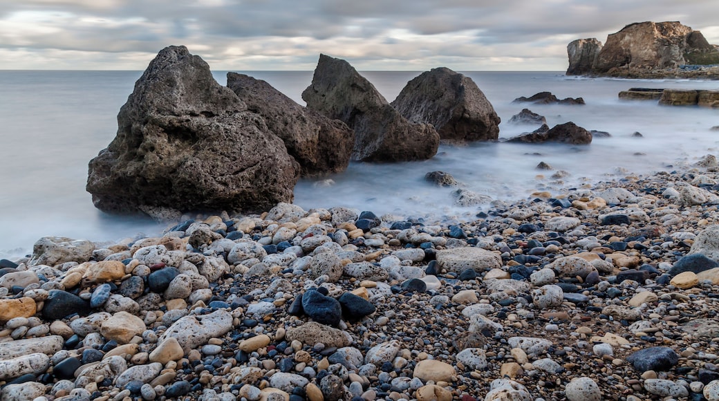 Out and about at Trow Rocks, South Shields today