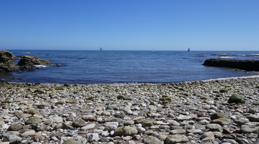 Beautiful bay next to Souter Lighthouse #northeast #england