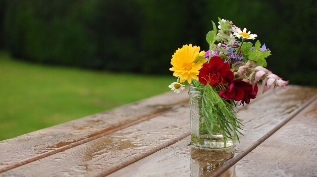 Great Bridgeford, United Kingdom