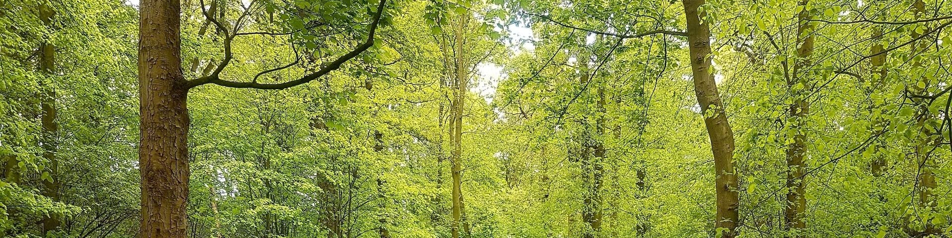 Aqualate near Gnosall Stafford