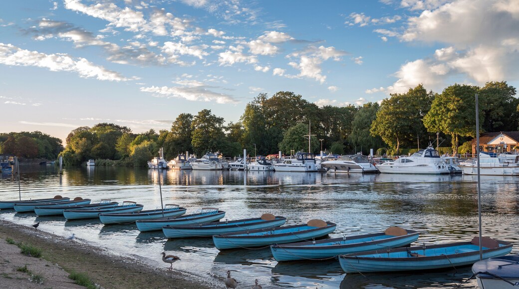 Boats on the river