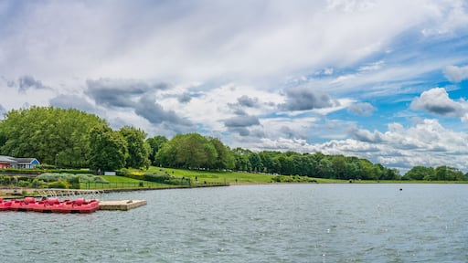 Sailing lake panorama in Fairlands Valley Park. Stevenage, UK