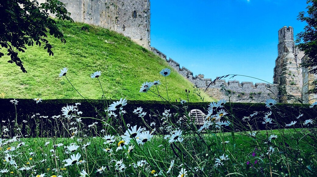 Charming Arundel Castle
#Trovember