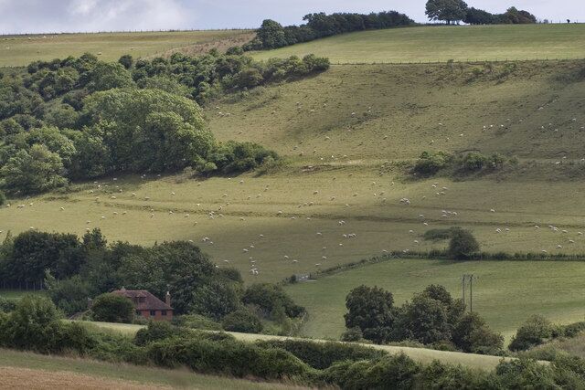 Perry Hill above Burpham