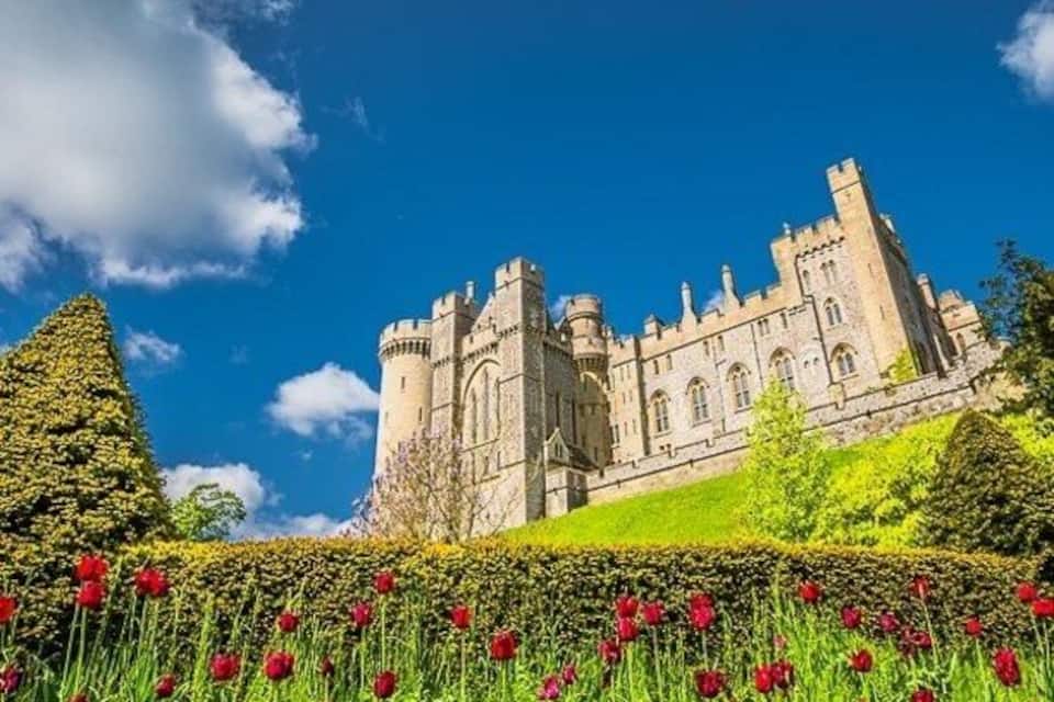 A castle with a tower, surrounded by a field of red tulips and a clear blue sky.