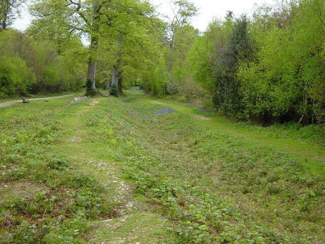 Slindon Estate Park Pale. This bank and ditch is called the pale, and marks the boundary of the Medieval Slindon Deer Park. Originally it would have been topped by a fence to retain fallow deer for hunting in the forest.