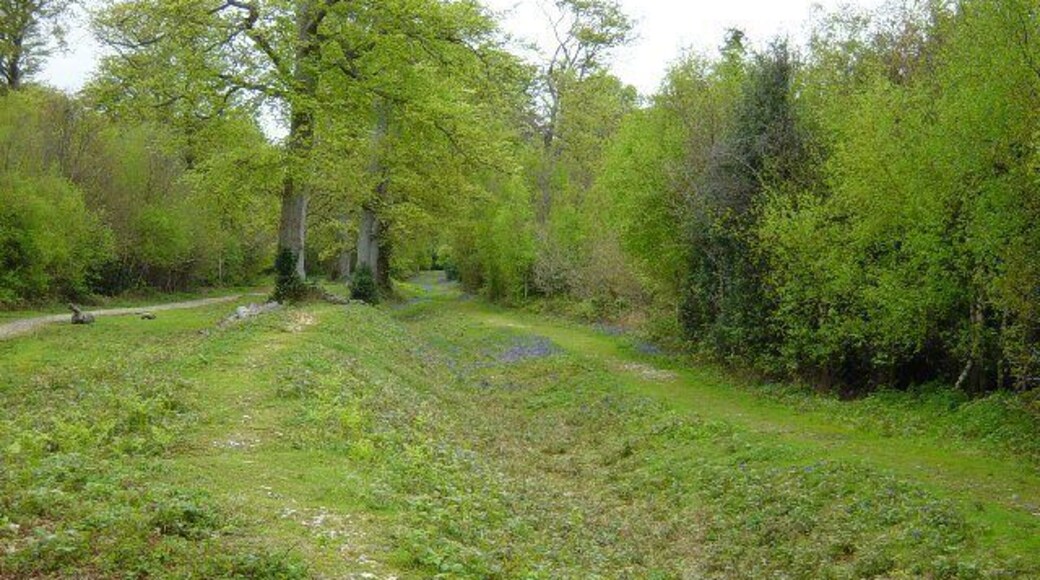 Slindon Estate Park Pale. This bank and ditch is called the pale, and marks the boundary of the Medieval Slindon Deer Park. Originally it would have been topped by a fence to retain fallow deer for hunting in the forest.