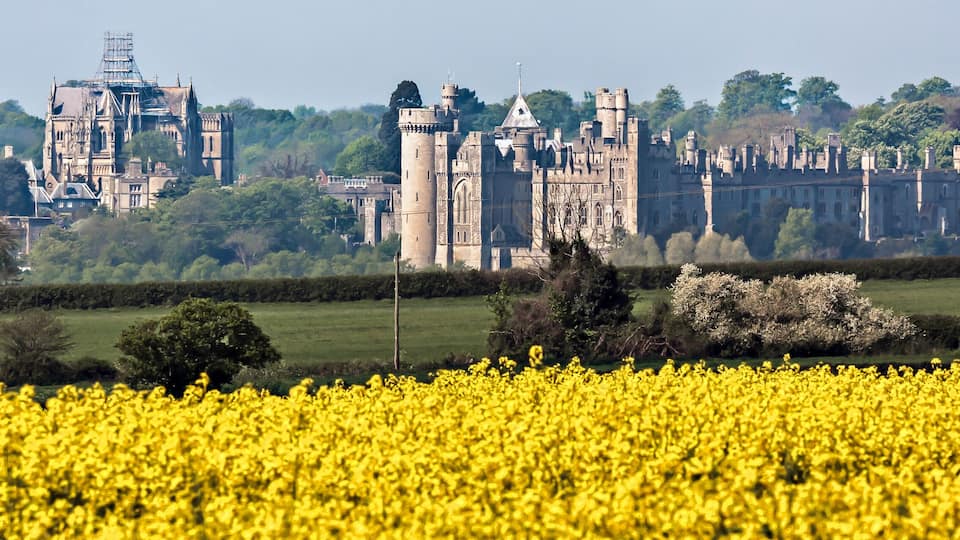 A historic castle complex with multiple towers and a surrounding field of yellow flowers.