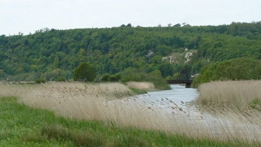 River Arun Near Offham The river winds gently around the bend, and flows under the railway bridge.