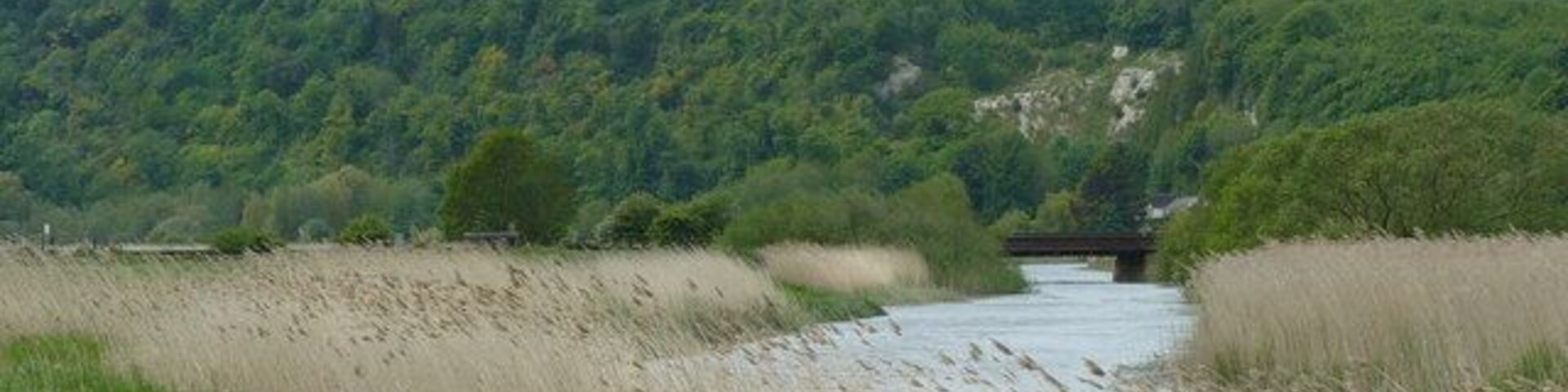 River Arun Near Offham The river winds gently around the bend, and flows under the railway bridge.