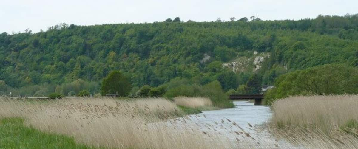 A river flowing through a grassy area with a bridge in the distance and a forested hill.
