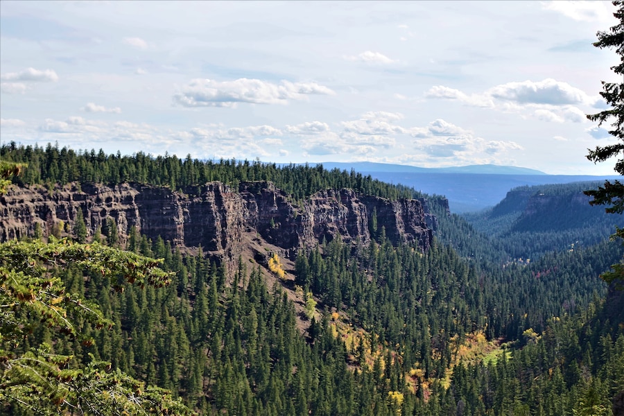 Een bergachtig landschap met dichte bossen en rotsachtige kliffen.