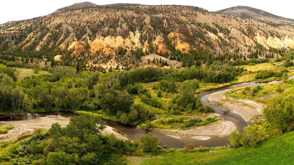 A river winding through a forested valley with a mountain in the background.