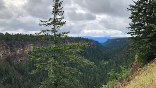 At the close of the Ice Age about 10,000 years ago, a stream fed by melting ice cascaded over a falls forming this chasm by cutting into some of the lava flows that helped to build the Fraser Plateau. Individual lava flows are shown here by the horizontal layering (left hand side of the pic). When the glacial ice finally disappeared, the flow of meltwater stopped. (September 2019)