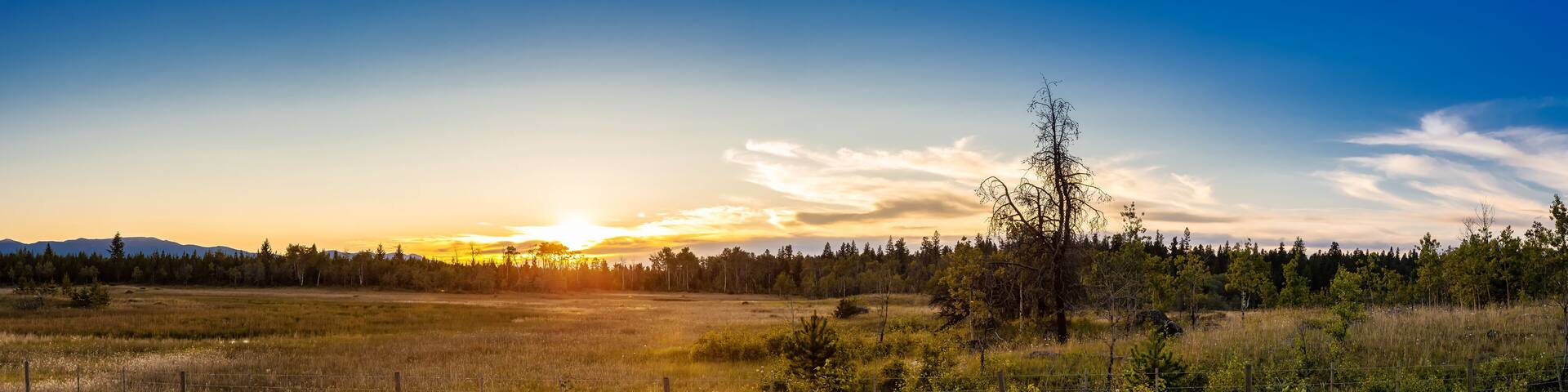 Panoramic View of a Beautiful Canadian Landscape during a Sunny Summer Sunset. Taken near Clinton, British Columbia, Canada.