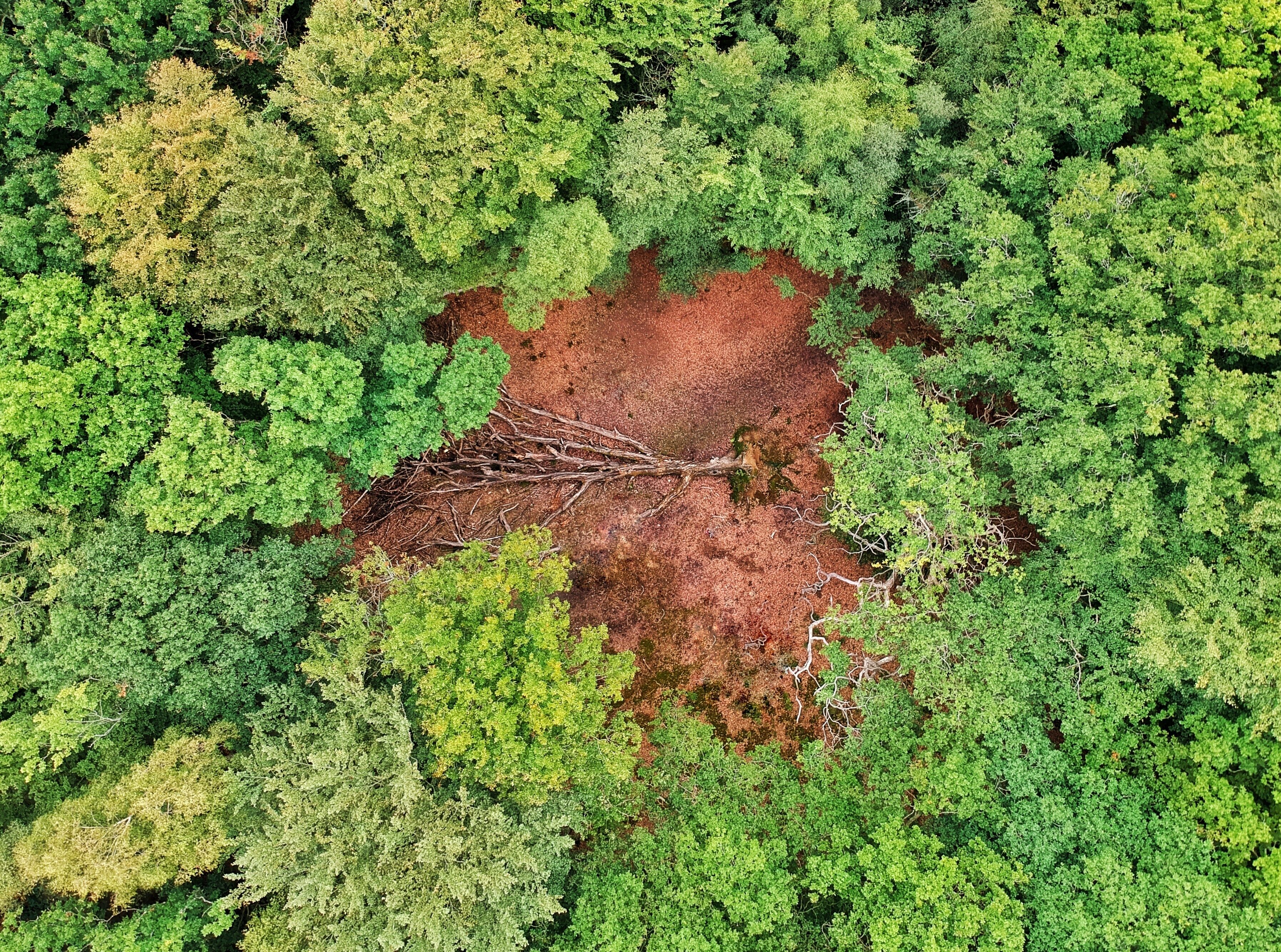 Taken with the dji spark drone.