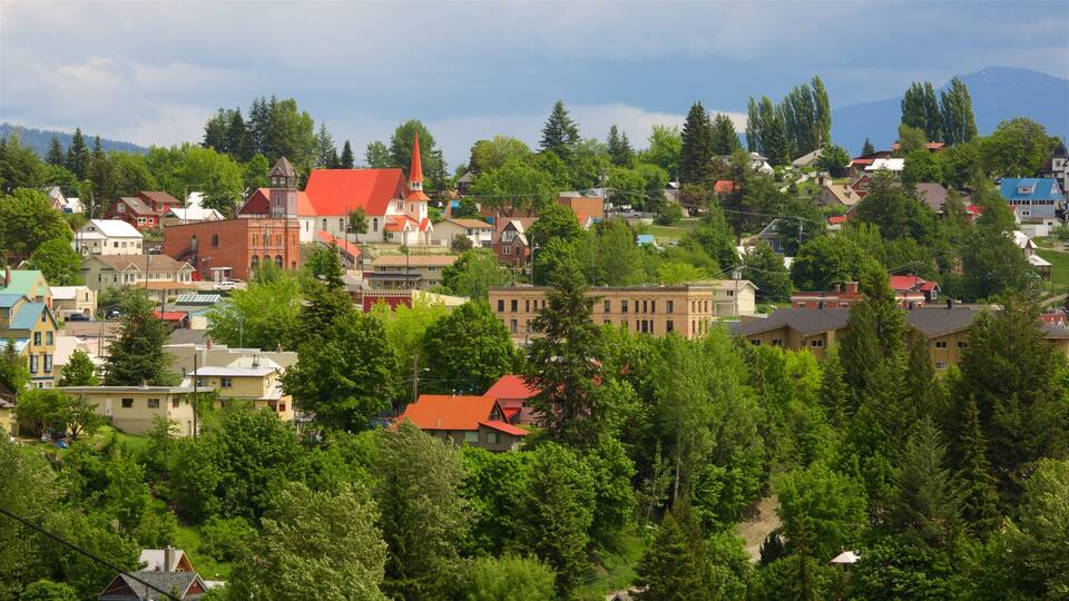 A town with red-roofed buildings, a church, and dense green trees.