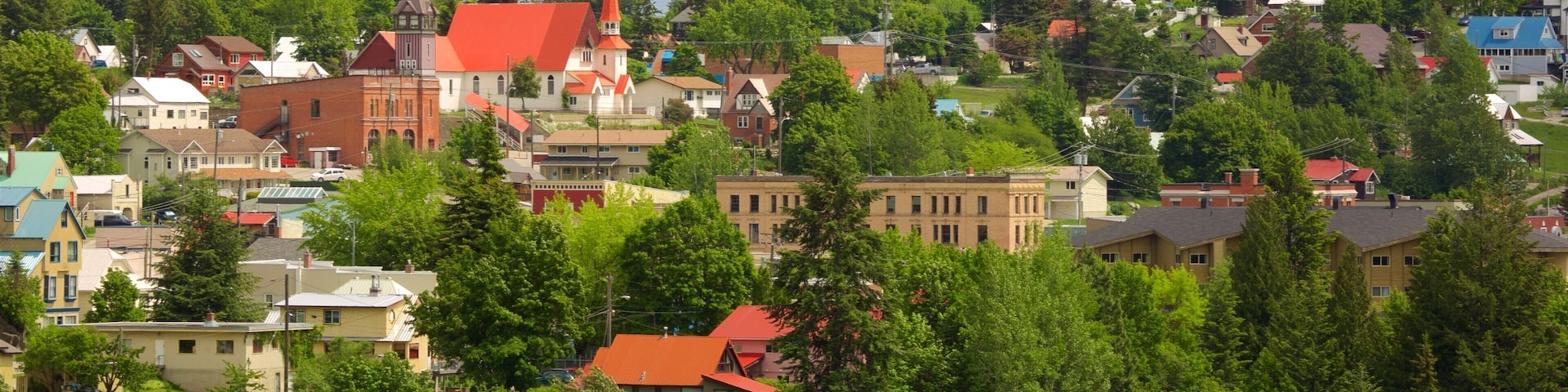 Rossland showing a small town or village