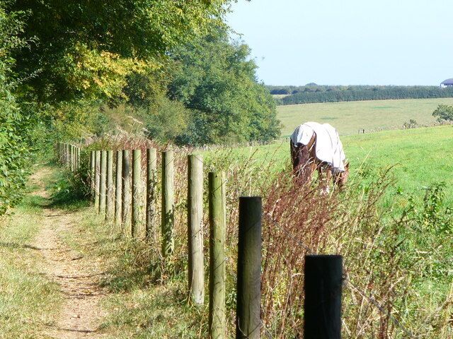Hertfordshire Way by Chipperfield Common Well-trodden footpath passing a grassy meado beside The Common.