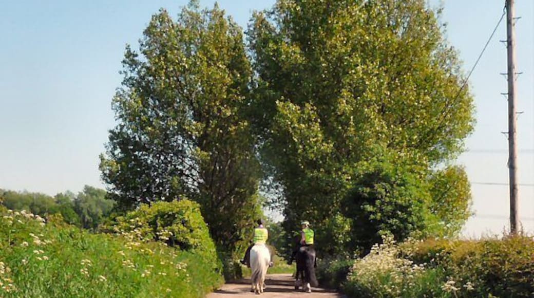 Bridleway to Goyt Hall