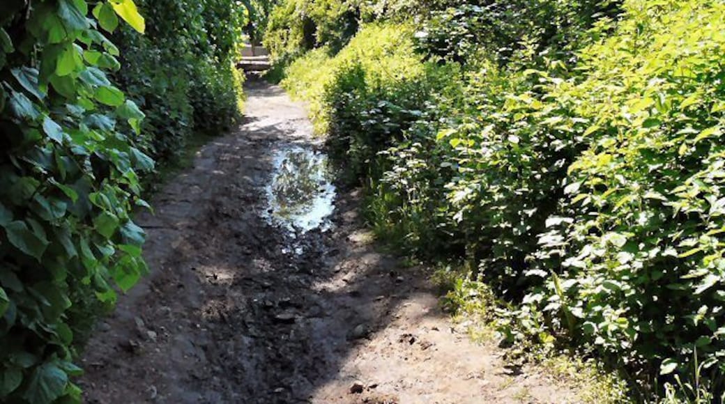Vernon Road Footpath in Lower Bredbury.