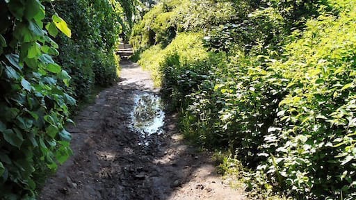 Vernon Road Footpath in Lower Bredbury.