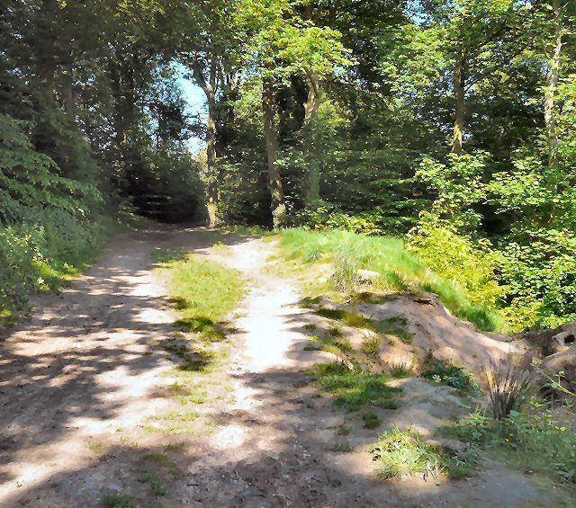 Vernon Road Footpath at Lower Bredbury.