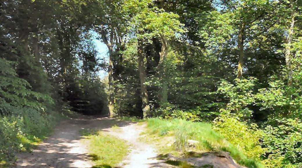 Vernon Road Footpath at Lower Bredbury.