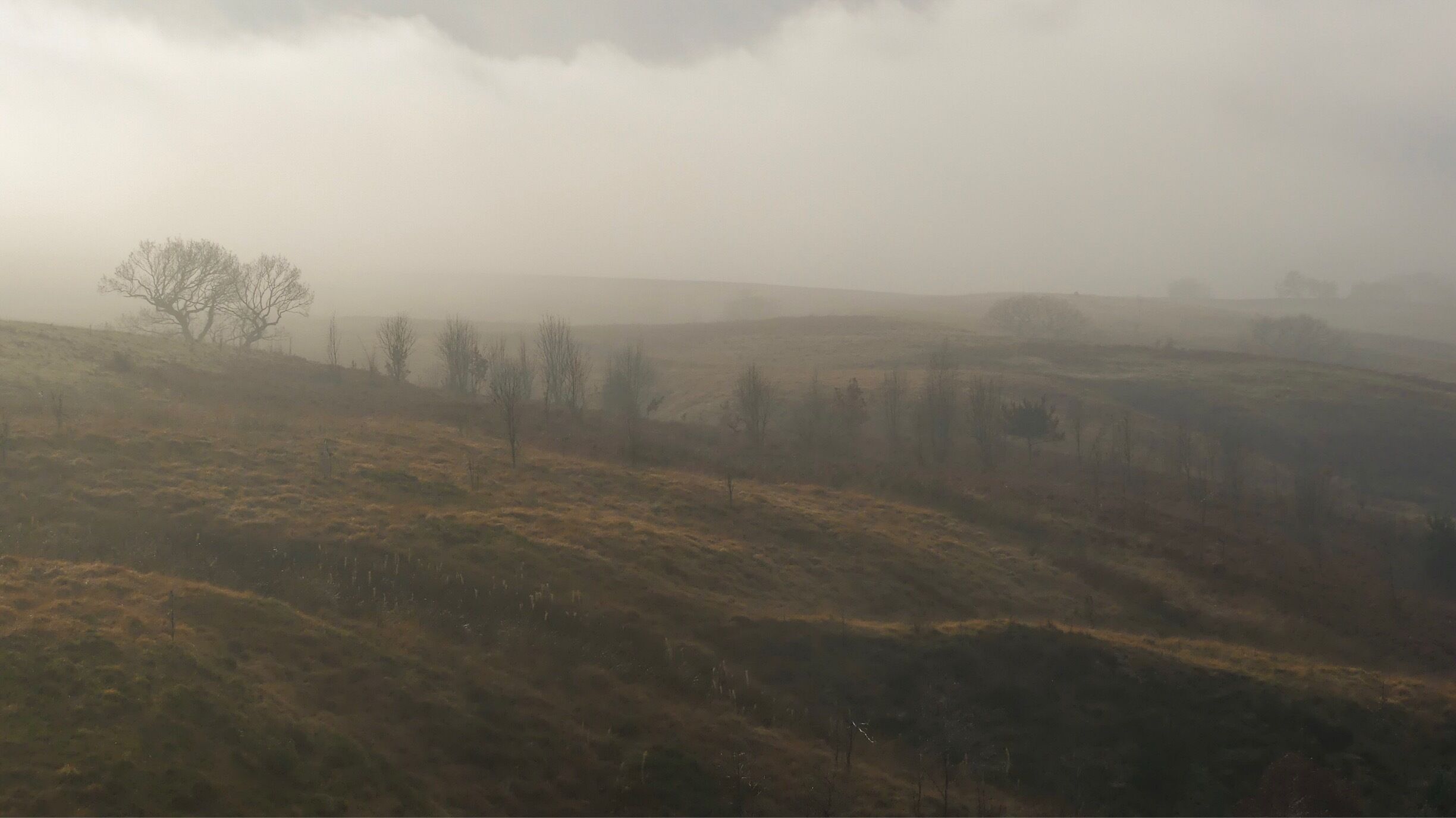 Autumn mist #hpow #trailmagazine #hiking #panasoniclumix #lumix #tgo #lumixfz330 #lumixuk #gooutdoors #thegreatoutdoors #capturingthemoment #jessopsmoment #viewbug #photography #BvSquad  #igooutdoors #peakdistrict #englandsbigpicture #BBCEngland #ThePIPAS2018 #ntchallenge #nationaltrust #imageoftheweek #jessopsimageoftheweek #panasonic