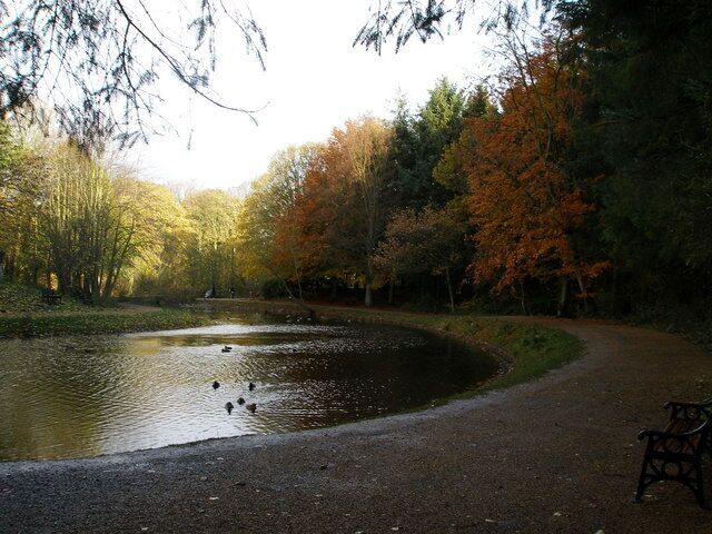 Um lago rodeado por árvores, com patos nadando, um caminho e um banco.