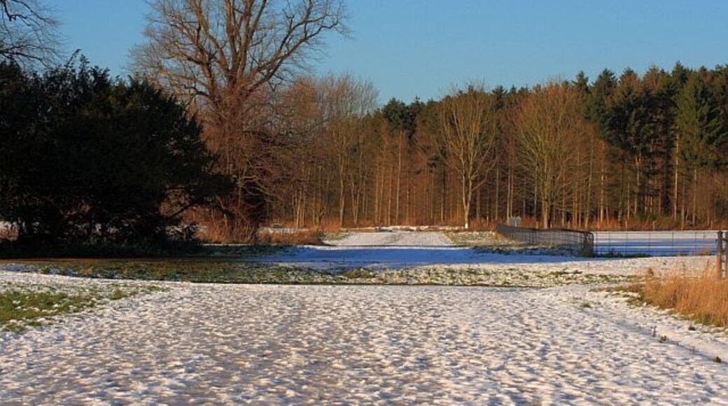 Hardwick Hall Country Park A view along the Grand Terrace, a gravel path north of the lake. Hidden from view but in the near distance is a small circular pond providing a "mid point" along the terrace.