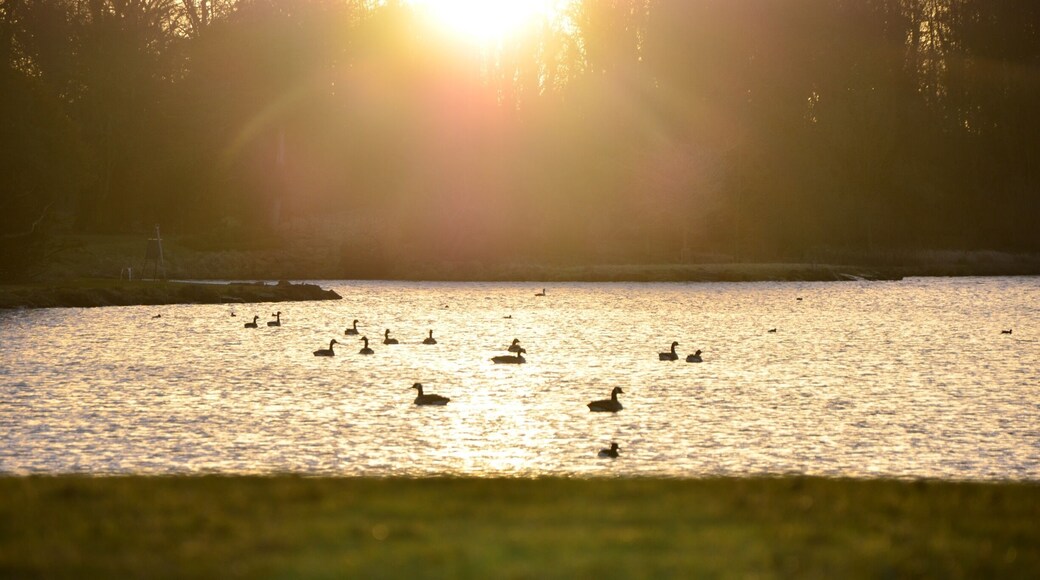 Early morning walk at Hardwick Park,Sedgefield