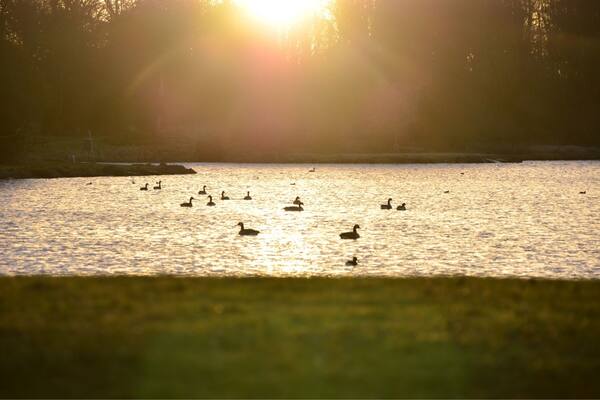 Early morning walk at Hardwick Park,Sedgefield