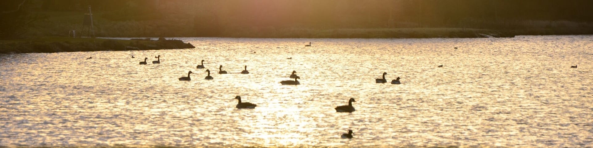 Early morning walk at Hardwick Park,Sedgefield