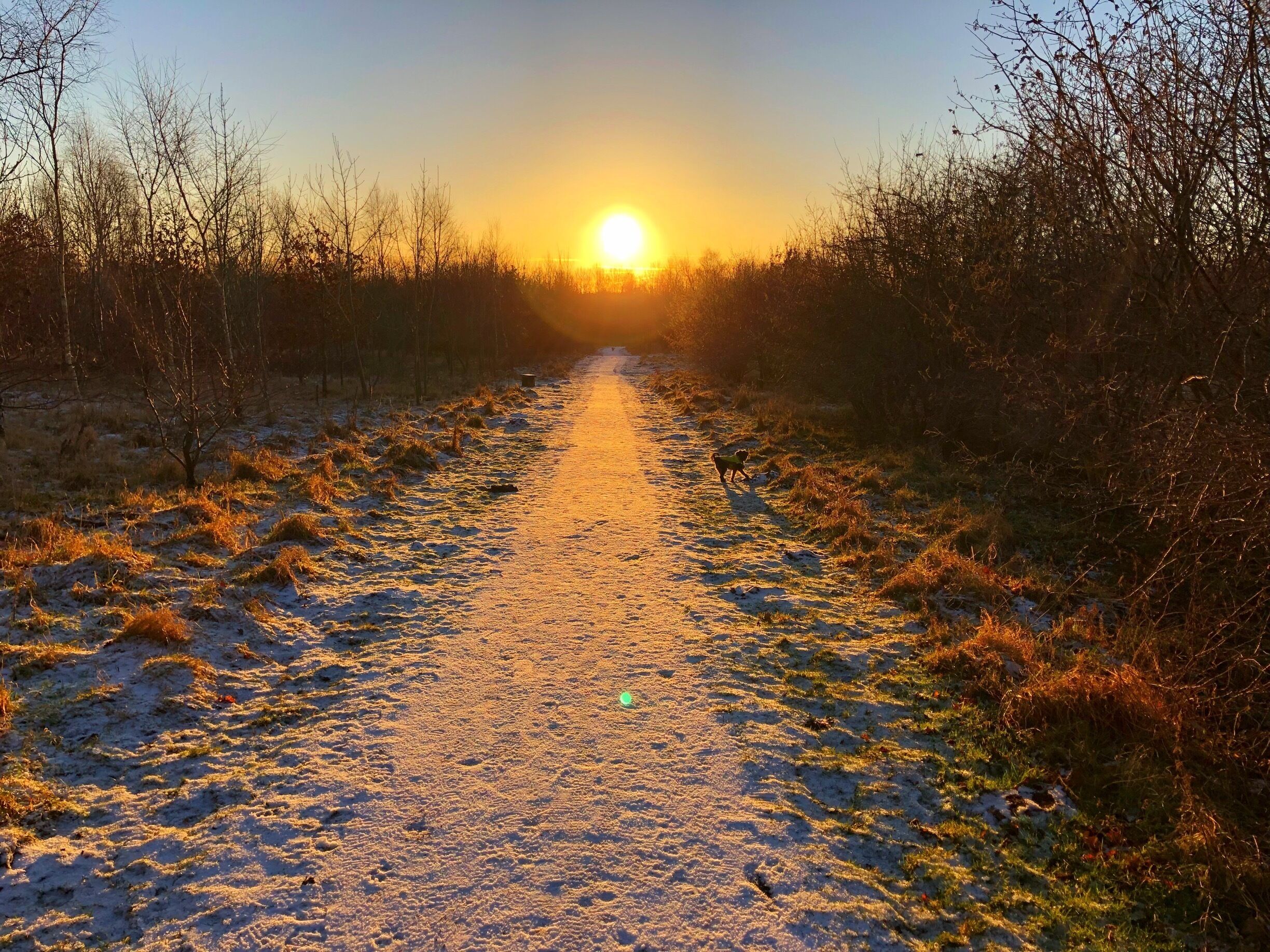 Wynyard Woodland Park