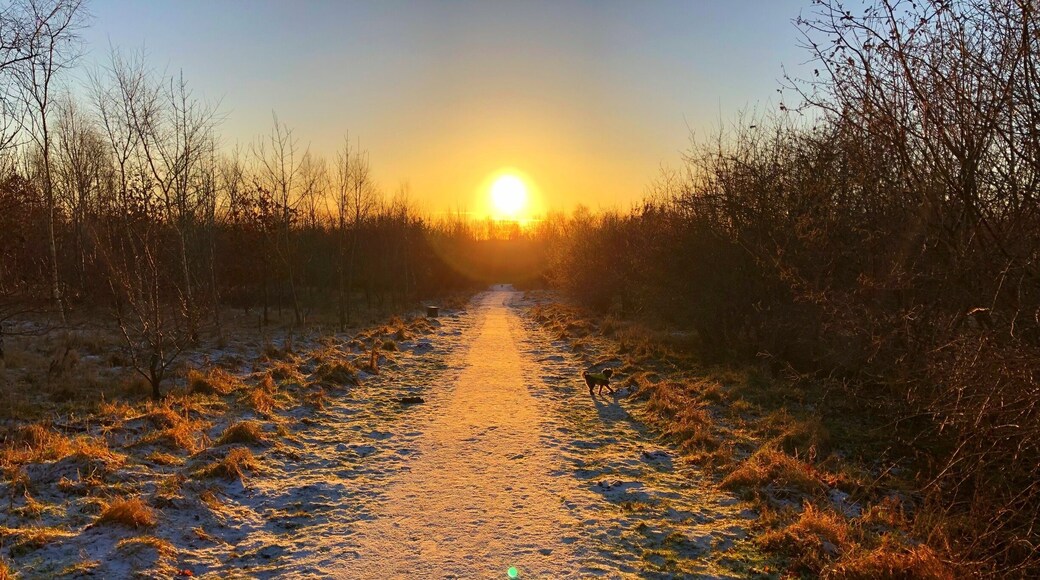 Wynyard Woodland Park