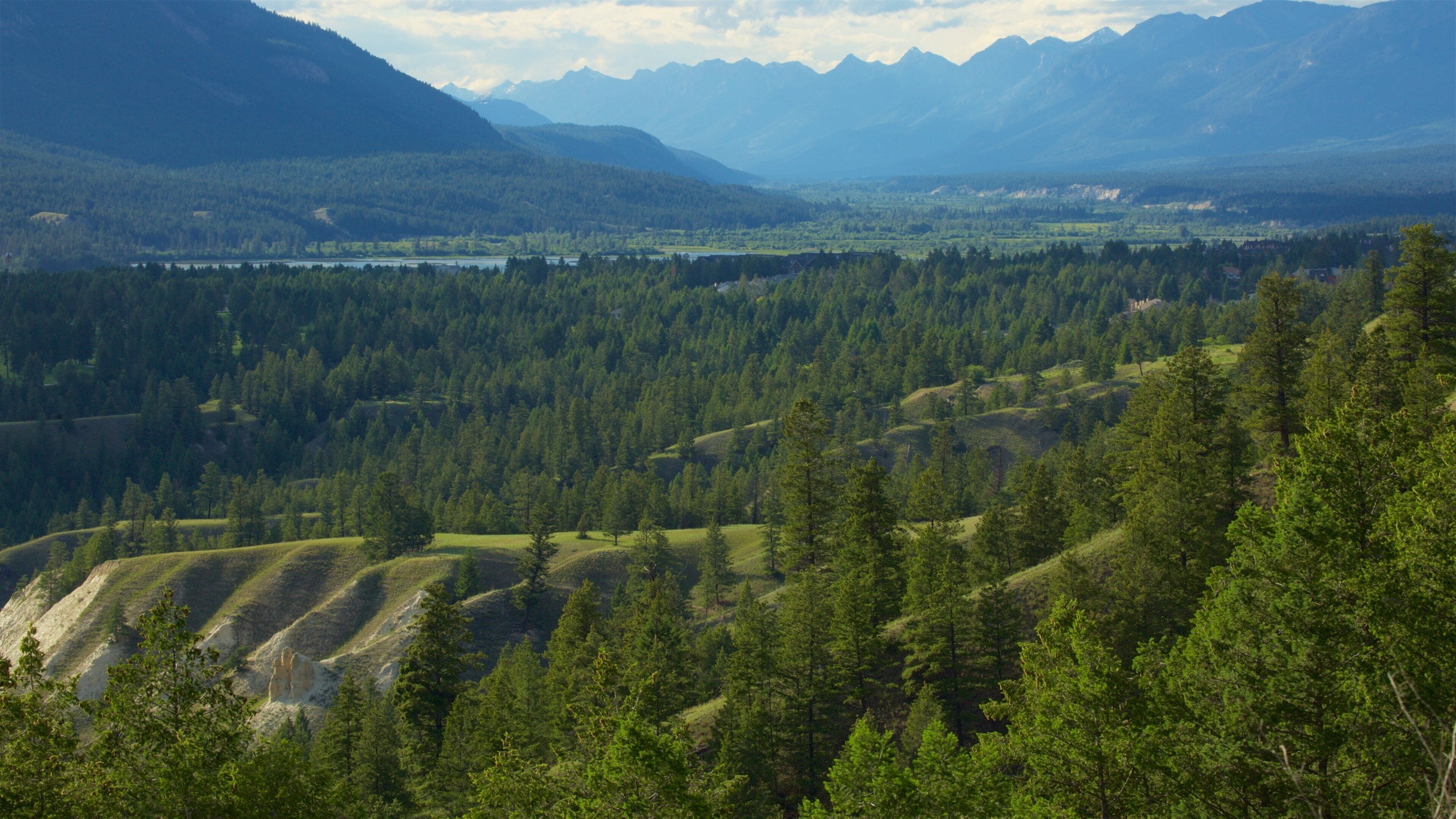 Radium Hot Springs featuring tranquil scenes