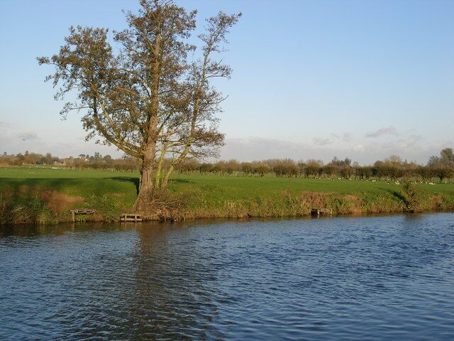 The River Avon. The River Avon from the bank at Tiddington.