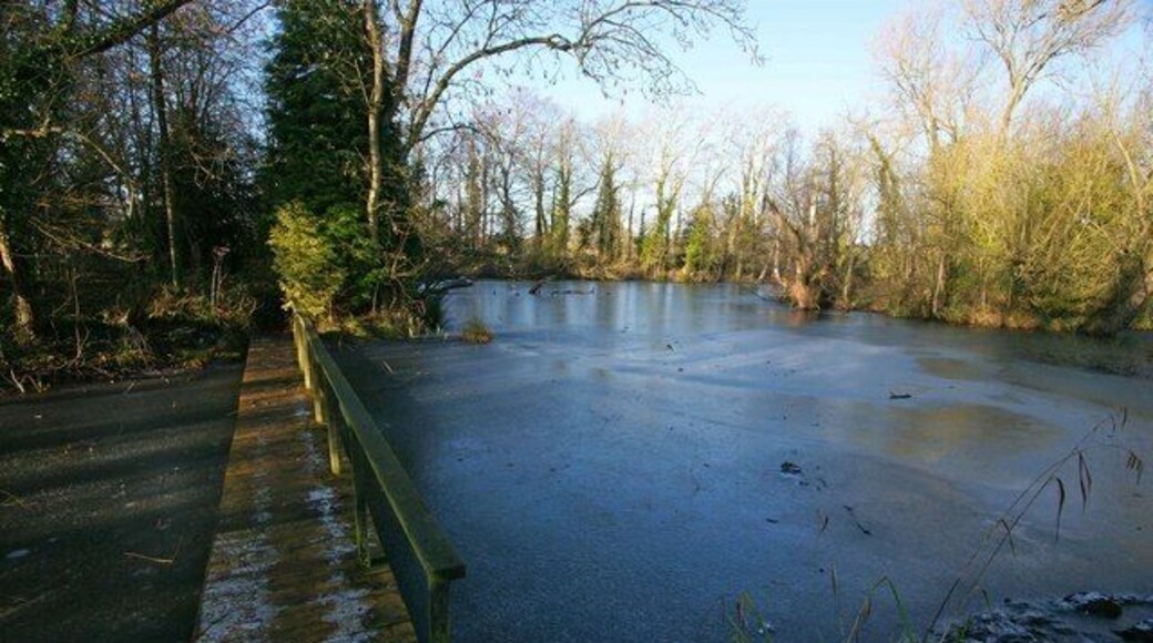 Frozen light The former fishpond in Snitterfield frozen over and bathed in winter light.