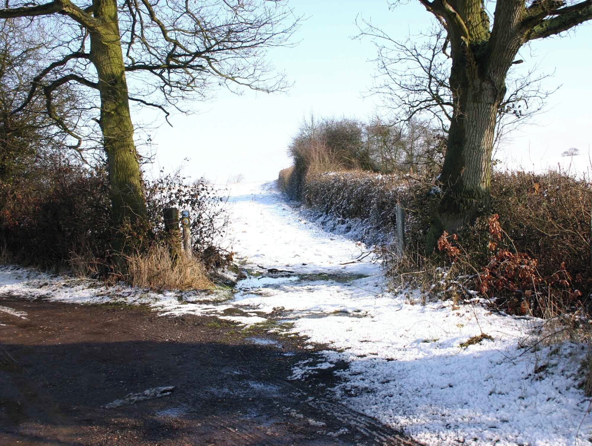Bridleway off Snitterfield Lane View NE up the bridleway to Canada Lane as it leaves Snitterfield Lane.