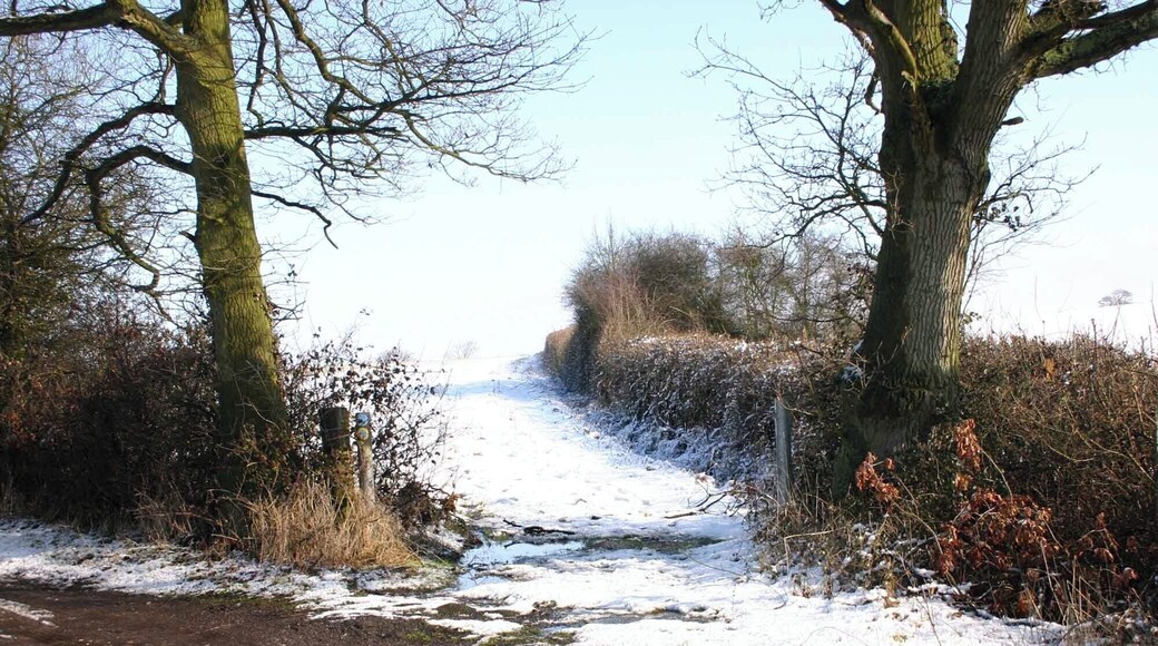 Bridleway off Snitterfield Lane View NE up the bridleway to Canada Lane as it leaves Snitterfield Lane.