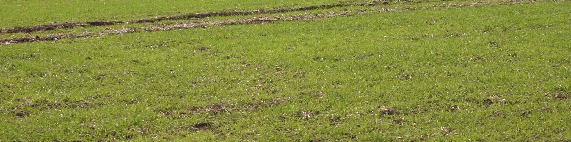View SW from the eastern edge of the square Looking towards Barton Farm in SP2447.